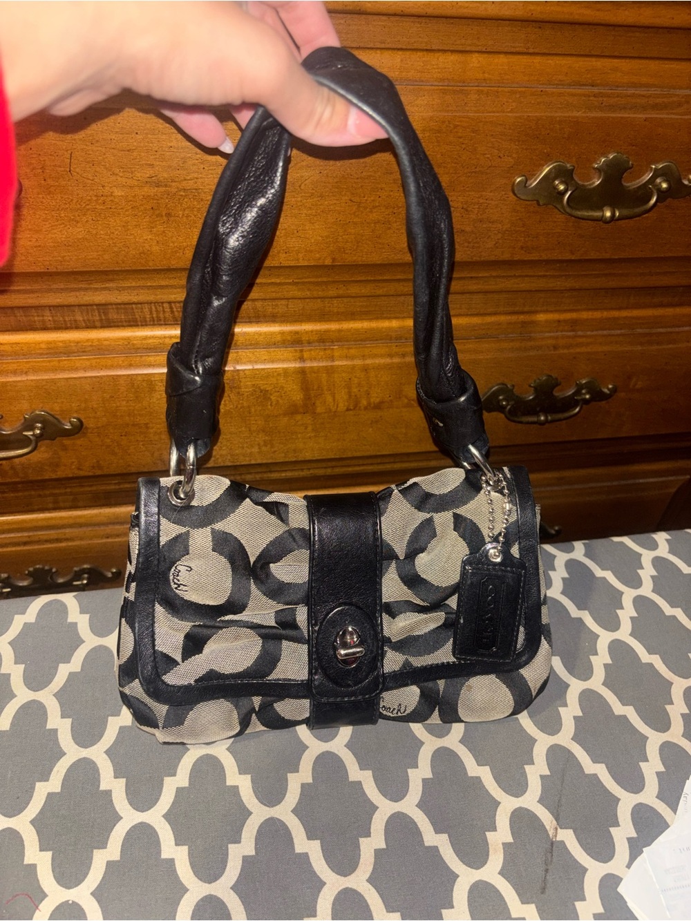 Vintage Rare Coach Parker Bag